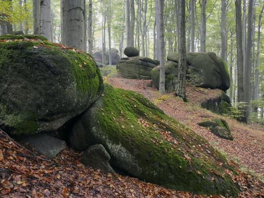 Oldřichovské háje a skály NS