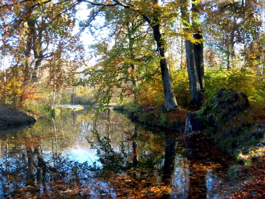 Podzim v anglické zahradě