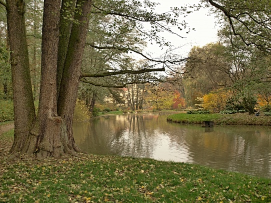 Zámecká zahrada Častolovice