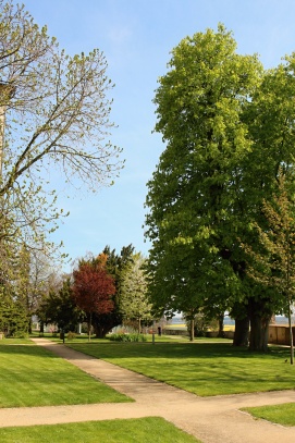 zámecký park v Benátkách nad Jizerou