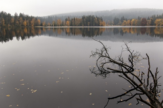 Slavkovský les - naučná stezka Kladská - Tajga