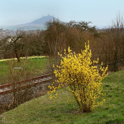 Jaro na Třebenicku