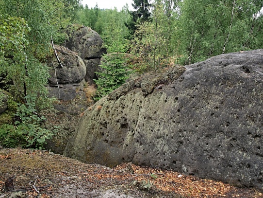 Polické stěny - Broumovsko