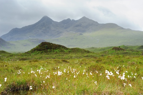 SKOTSKO - suchopár v mokřinách v okolí SLIGACHAN s horama THE CUILLIN HILLS