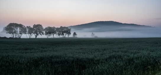 Vodní hrad Švihov