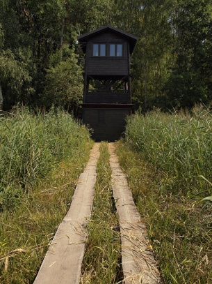 Rybník a ptačí oblast Řežabinec 