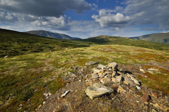 NORSKO - NP Dovrefjell