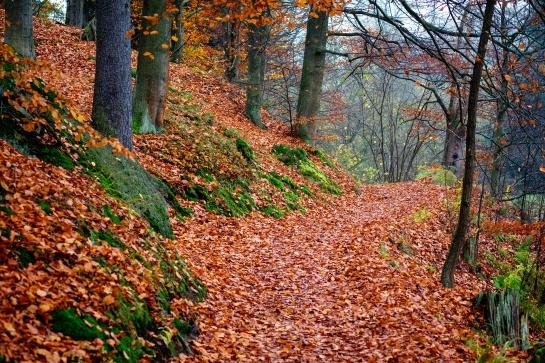 Zámek a park Kynžvart