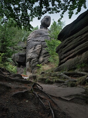 Polické stěny - Broumovsko