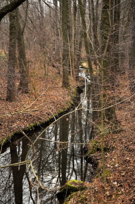 podzim v lesoparku ,Příbram 