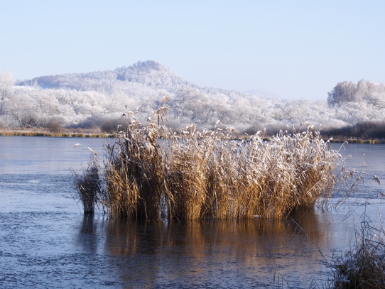 Horecký rybník