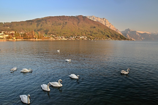 Jezero Traunsee se zámkem Orth