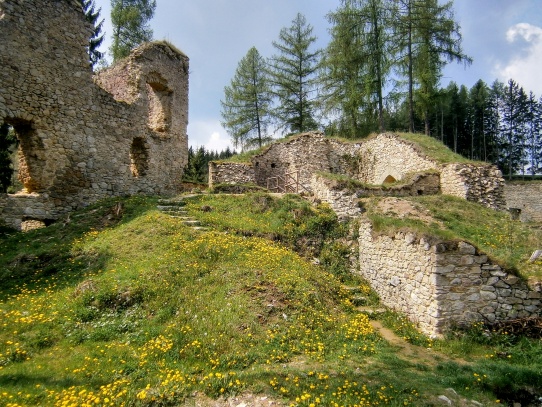 Zbytky hradu Pořešín