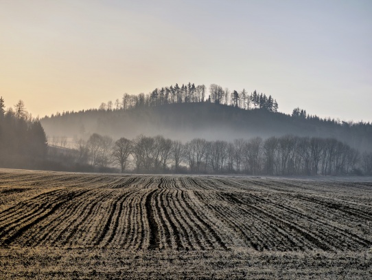 Vodní hrad Švihov