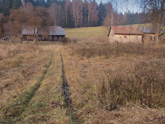 Puchingrův Dvůr u Jelenova  (Buchingerhof)