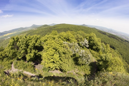 Výhled na České středohoří z vrcholu Košťálov