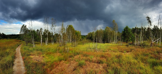 Šumava