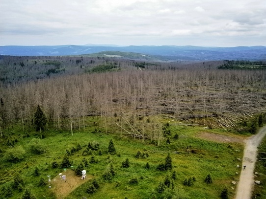 Poledník a Prášilské jezero