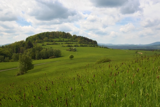 Větrný vrch u České Kamenice