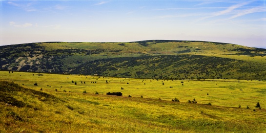 Krkonošská tundra