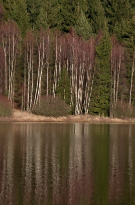 Vodní nádrž Láz , nádherná krajina v Brdech 