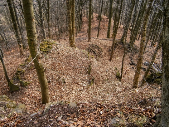 Zřícenina hradu Bradlec 