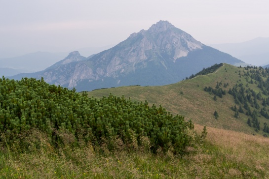 Velký Rozsutec