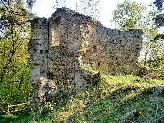 Zřícenina hradu Louzek