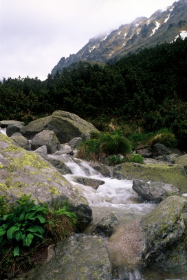 Velké Hincovo pleso, Vysoké Tatry