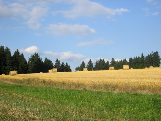 Cestou do Hlavňova