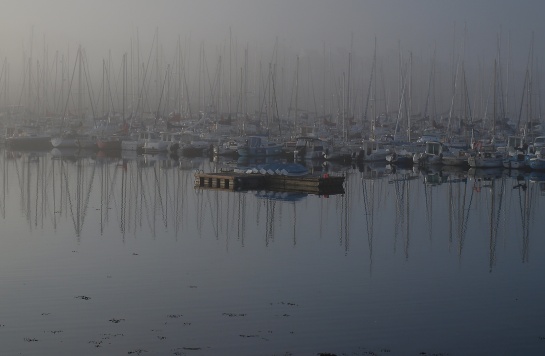 ranní přístav Concarneau Citadela