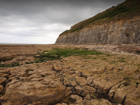 Odliv na pobřeží Normandie