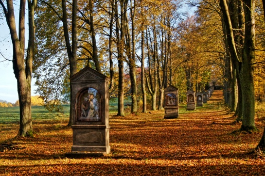 Křížová cesta Cvikov