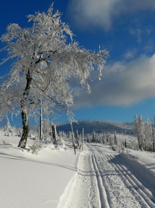 Šumava