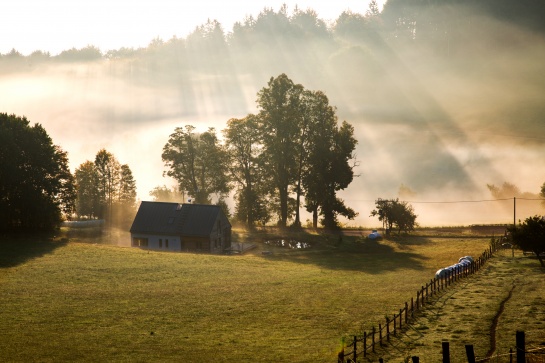 Šumava - Královský hvozd