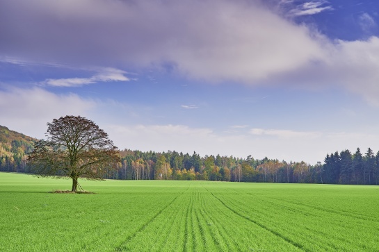 Krajina kolem Růžovského vrchu