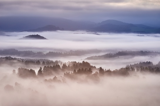 Krajina Českého  Švýcarska