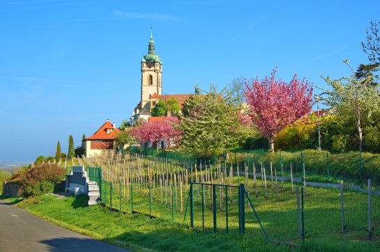 Mělník kostel sv. Petra a Pavla