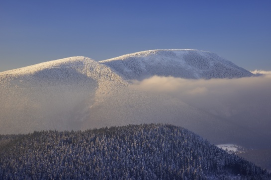 Smrk /Moravskoslezské Beskydy/