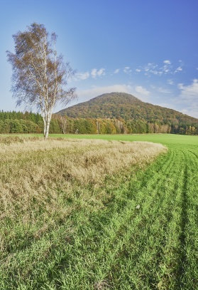 Krajina kolem Růžovského vrchu