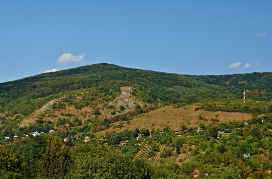 Zřícenina hradu Devín