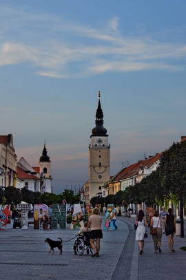 Trnavská Hlavní třída