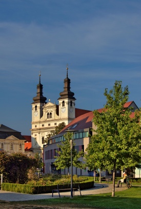 Trnava katedrála sv. Jána Krstiteľa