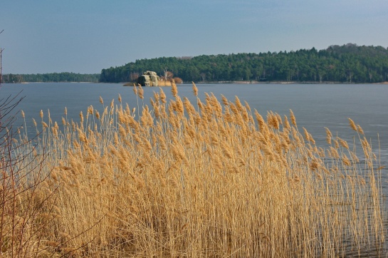 Máchovo jezero