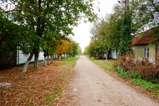 Vesnice Češko selo v Srbském Banátu