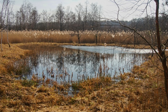 Máchovo jezero