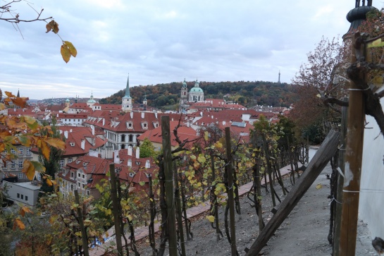 Velká Fürstenberská zahrada