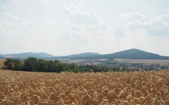 Pohled na Švihov 