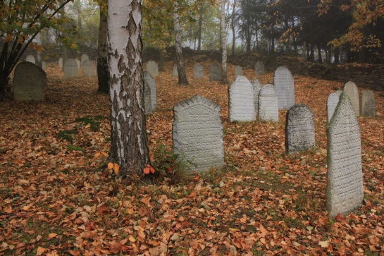 Židovský hřbitov Podmokly