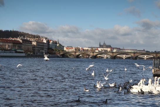 Vltava